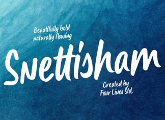Snettisham Font preview image 1