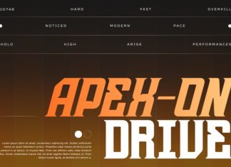 Sravex Sports Font preview image 2