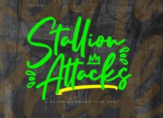 Stallion Attacks Font preview image 1
