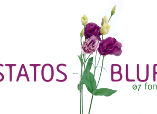 Statos Font preview image 1