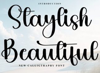 Staylish Beautiful Font preview image 1