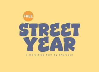 Street Year Font preview image 1