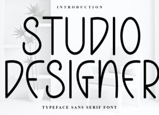 Studio Designer Font preview image 1