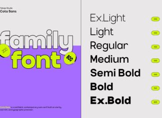 TBJ Cota Sans Font preview image 3