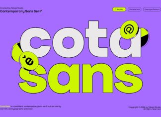 TBJ Cota Sans Font preview image 1