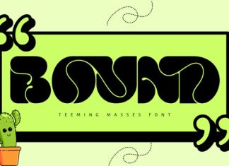 TEEMING MASSES FONT preview image 2