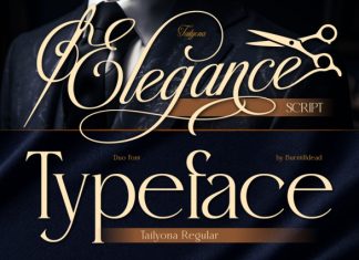 Tailyona Font preview image 3