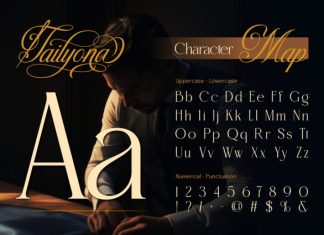 Tailyona Font preview image 2