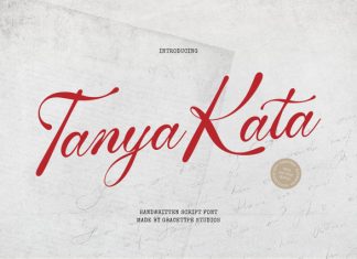 Tanya Kata Font preview image 1