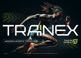 Trainex Font preview image 1