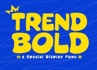 Trend Bold Font preview image 1