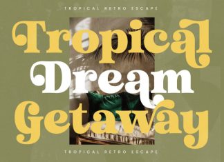 Trendy Voyage Font preview image 2