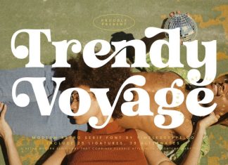 Trendy Voyage Font preview image 1