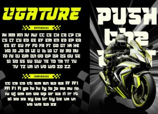 Trivox Font preview image 3