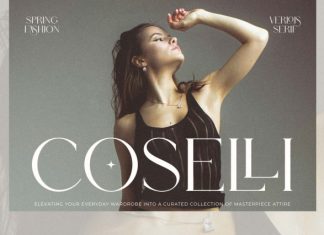 Verloise Font preview image 3