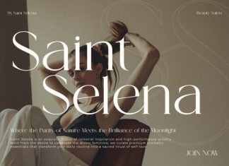 Verloise Font preview image 2