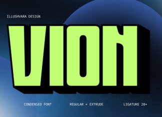 Vion Modern Font preview image 1