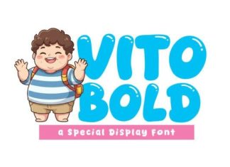 Vito Bold Font preview image 1
