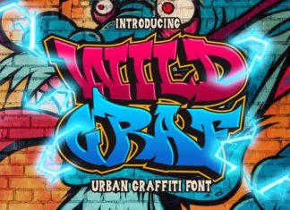 Wild Graf Font preview image 1