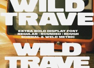 Wild Trave Font preview image 1