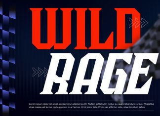 Zelrix Sports Font preview image 3