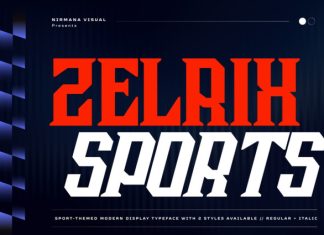 Zelrix Sports Font preview image 1