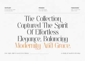Thereon Font preview image 3