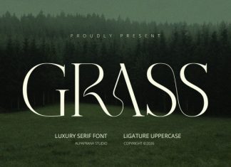 Grass – Serif Font preview image 1