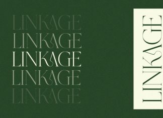 Grass – Serif Font preview image 3
