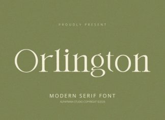 Orlington – Serif Font preview image 1