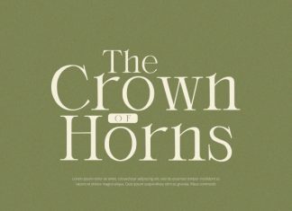 Orlington – Serif Font preview image 2