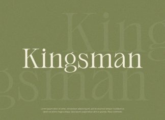 Orlington – Serif Font preview image 3