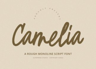 Camelia – Script Font preview image 1