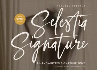 Selestia Signature – Handwritten Font preview image 1