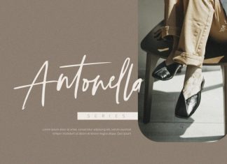 Selestia Signature – Handwritten Font preview image 2