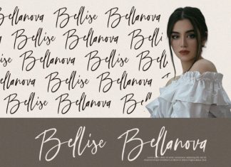 Selestia Signature – Handwritten Font preview image 3