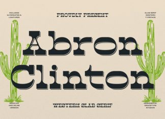 Abron Clinton Font preview image 1
