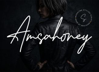 Amsahoney Font preview image 1