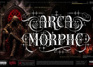 Arca Morphe Font preview image 1