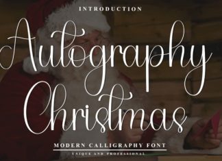 Autography Christmas Font preview image 1