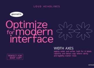 Axique Light Font preview image 3