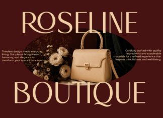 Bacher Font preview image 3