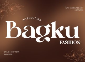 Bagku Fashion Font preview image 1