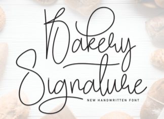 Bakery Signature Font preview image 1