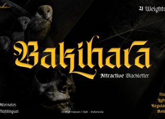 Bakihara Font preview image 1
