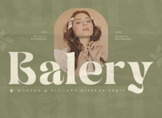Balery Font preview image 1