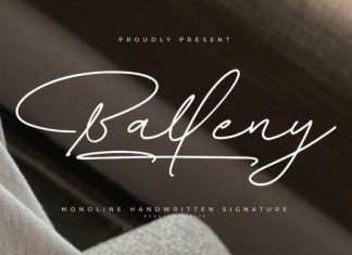 Balleny Font preview image 1