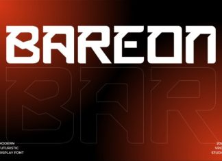 Bareon Font preview image 1