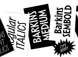 Barkins Font preview image 2
