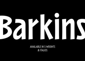 Barkins Font preview image 1